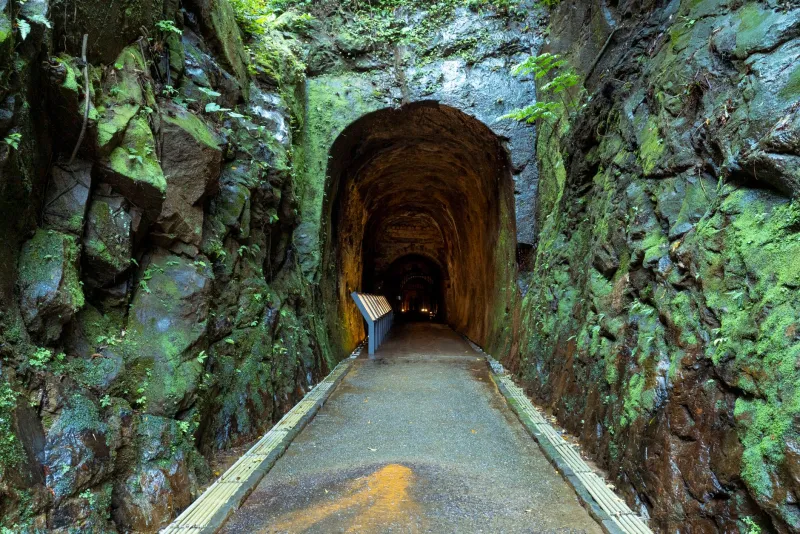 Forty-Eight Hours on the Hill: A Thoughtful Traveler's Guide to a Tunnel Hill Weekend
